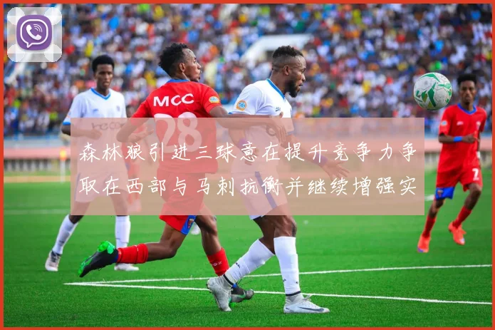 森林狼引进三球意在提升竞争力争取在西部与马刺抗衡并继续增强实力