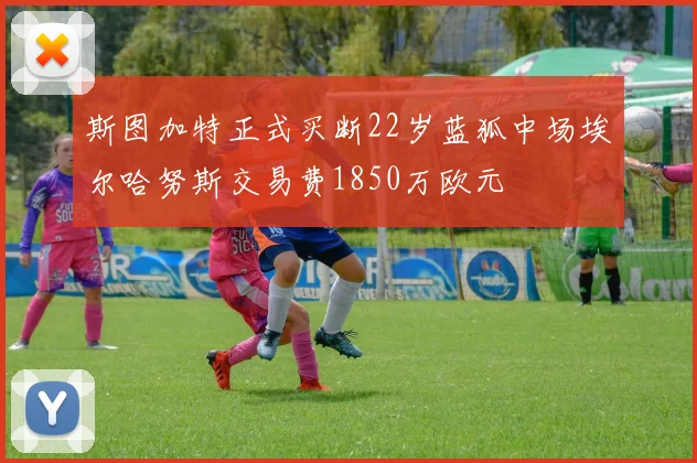 斯图加特正式买断22岁蓝狐中场埃尔哈努斯交易费1850万欧元